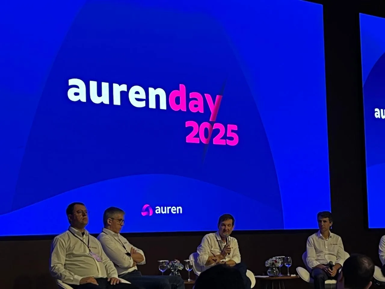 Auren tem carteira de ativos mais equilibrada para nova fase do setor de energia, diz CEO